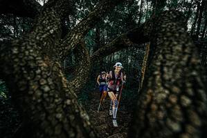 BIB: 
                            <button type="button" onclick="openModal(25678625)" class="btn btn-primary btn-sm float-right btn-popup" data-toggle="modal" data-target=".modal-high-quality">
                        <i class="fas fa-shopping-cart"></i> Add to Cart
                    </button>
                                            <button type="button" onclick="isThisMe(25678625, true)" class="btn btn-success btn-sm float-right btn-popup btn-isme hidden" data-toggle="tooltip" data-placement="bottom" title="นี่คือรูปของคุณใช่ไหม คลิกที่นี่เพื่อเอาเข้าอัลบั้ม">
                        <i class="fas fa-plus"></i> Add to album
                    </button>
                    <button type="button" onclick="isThisMe(25678625, false)" class="btn btn-warning btn-sm float-right btn-popup btn-isnotme hidden">
                        <i class="fas fa-ban"></i> Remove from album
                    </button>